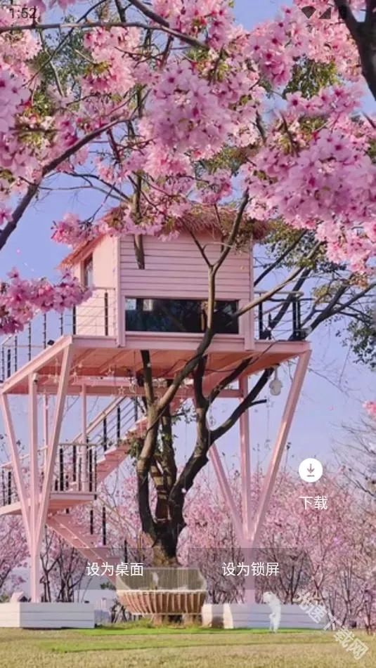 Quin壁纸2025官方最新版本 Quin壁纸2025官方最新版本