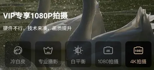 ProMovieרҵ(רҵӰ)