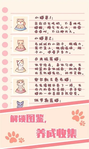云撸猫咪(猫咪养成游)v1.0.24 官方正版