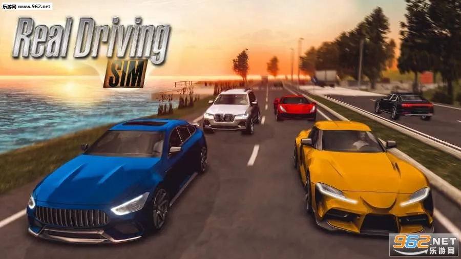 真实驾驶模拟(国际服)安装器(模拟驾驶)v5.4 官方正版