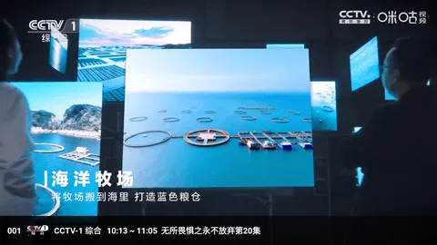 冰茶蜂蜜2025官方正版v4.0.0 安卓版