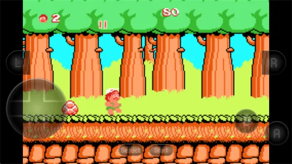 高桥名人冒险岛游戏 高桥名人冒险岛游戏