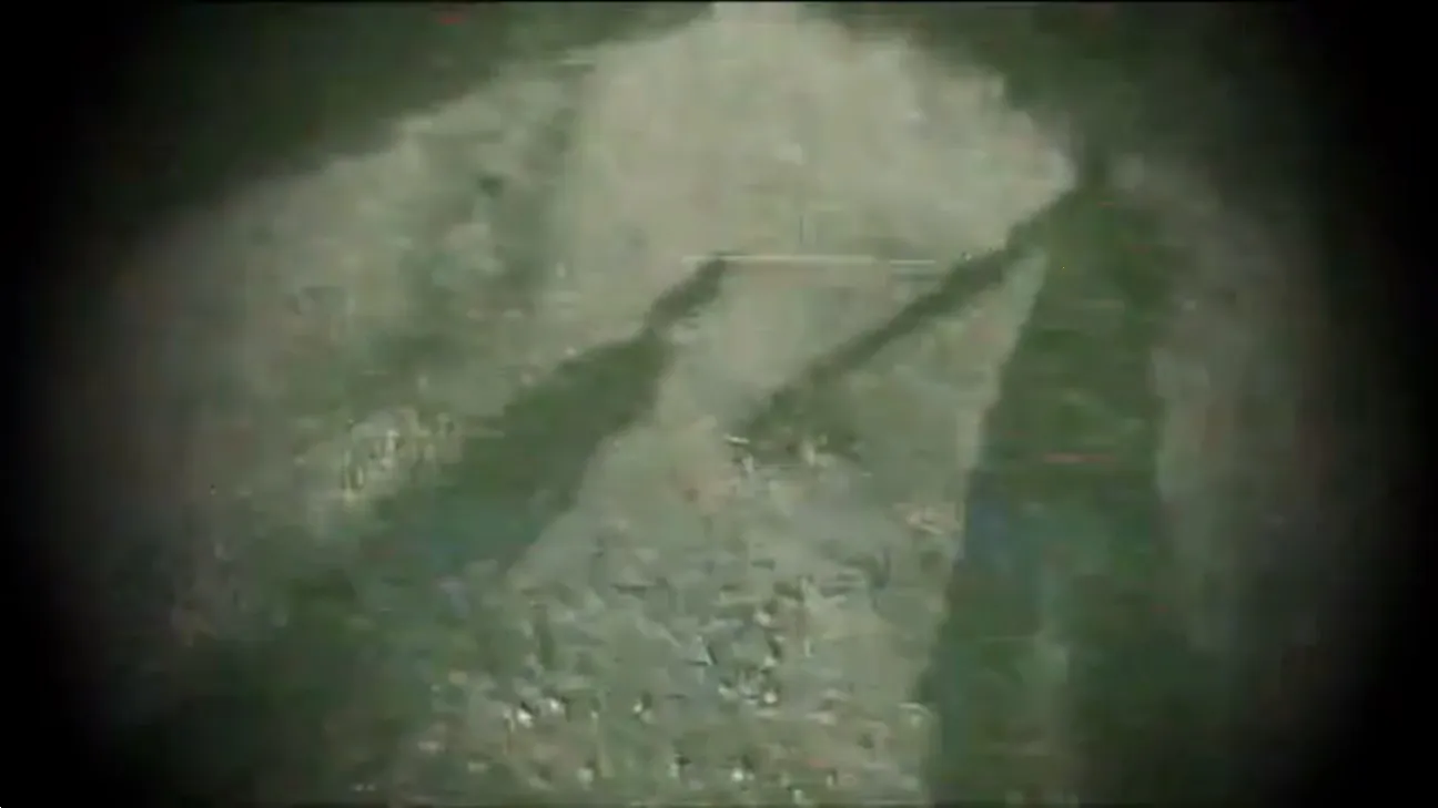 后室精神病最新手机版v1.0.3 免费版