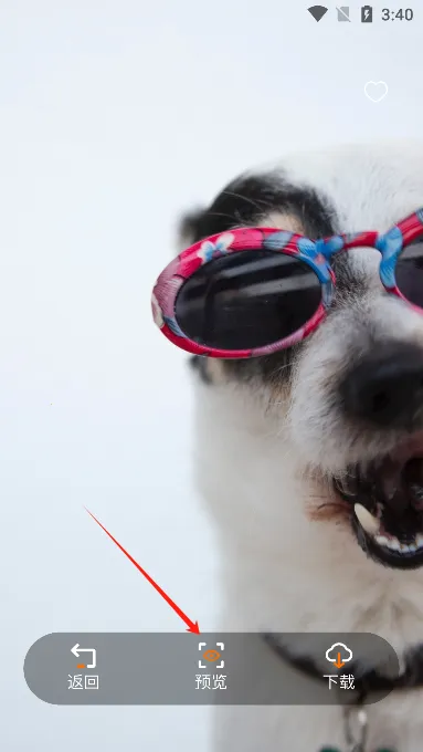 主题盒2025官方最新版本