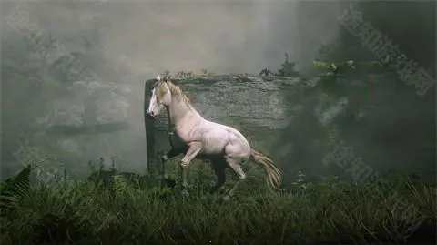 ��Ұ���ڿ;���(����ţ����Ϸ)