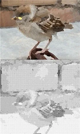 ���ع�����(ͼƬ��������)