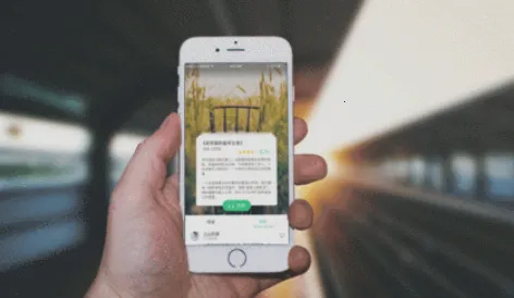 С�����������ֻ���