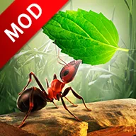 СС��Ⱥ2025�ٷ�����v3.2.5 �ٷ�����