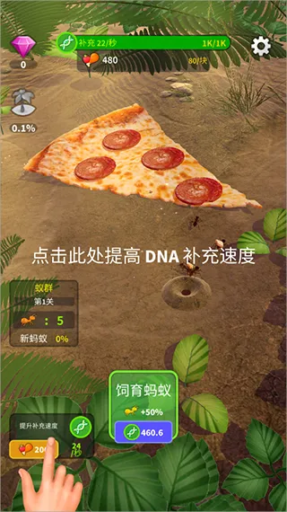 СС��Ⱥ2025�ٷ�����