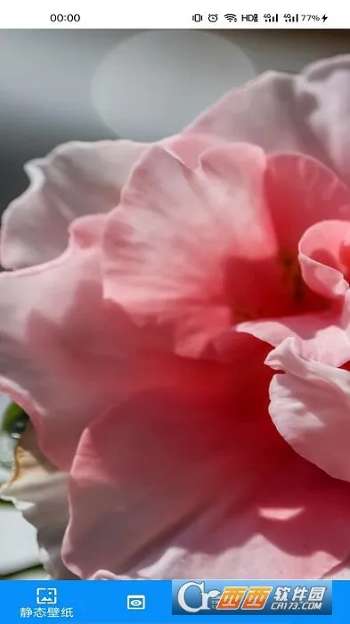 有声壁纸2025官方最新版本v1.0.0 官方正版