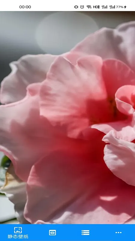 有声壁纸2025官方最新版本v1.0.0 官方正版