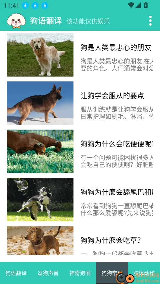 ���﷭��2025���°汾