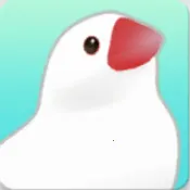 �������������ֻ���v1.1 ��׿��