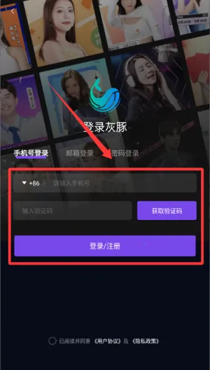 灰豚(AI创作平台) 灰豚(AI创作平台)