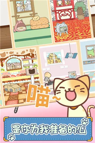 猫咪的毛2025最新版本 猫咪的毛2025最新版本