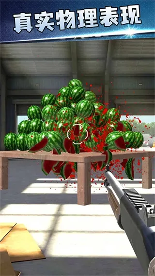 ǹ�����ս(���������Ϸ)