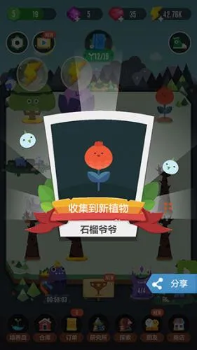 口袋植物 口袋植物