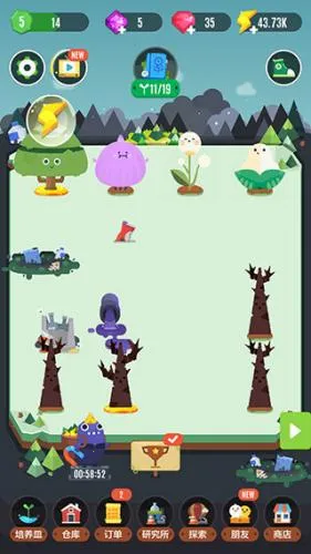 口袋植物 口袋植物