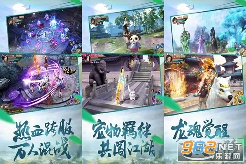 ����֮��2026�ٷ�����