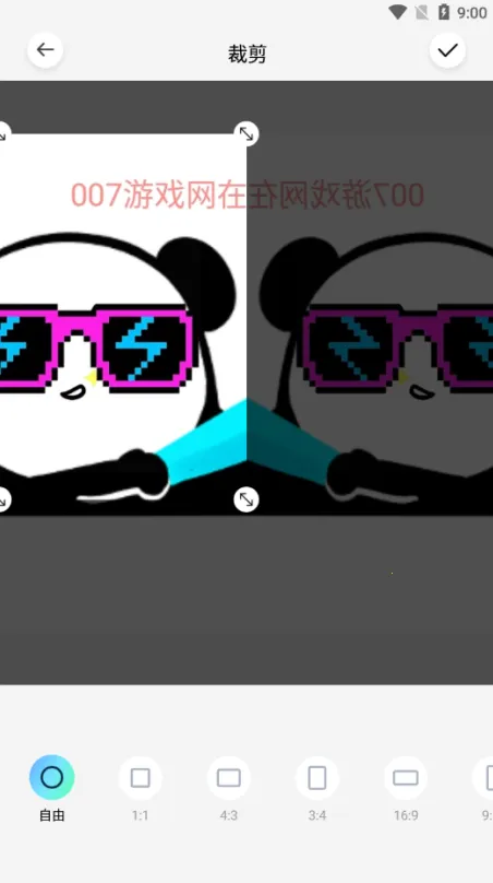 �������(�����������)