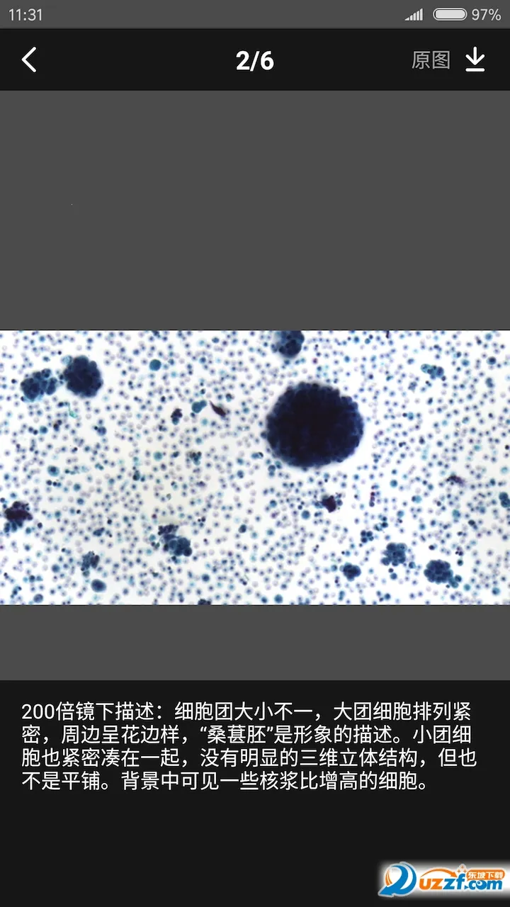爱病理2026官方正版v3.6.12 手机版
