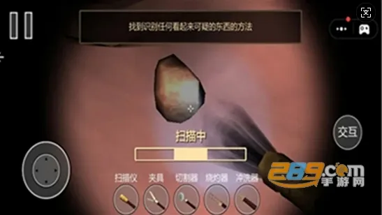 �󳦸���2026���°汾