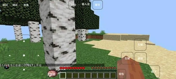 �ҵ�����������ģ�������ֻ���