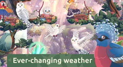 �ڴ������