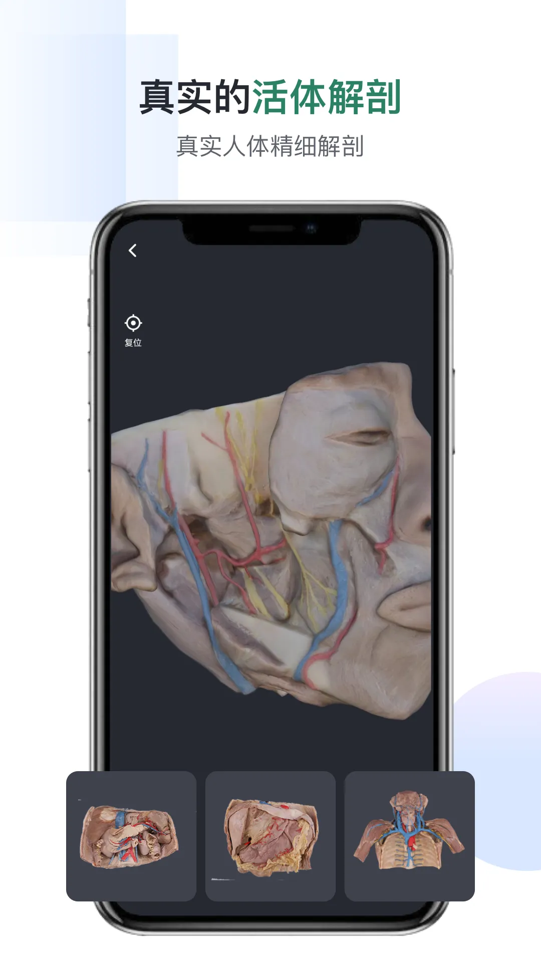 �ڴ��������2026���°汾