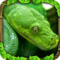 ����ģ����v1.5 ��׿��