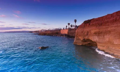 ѾѾ��̬��ֽ2026�ٷ����°汾