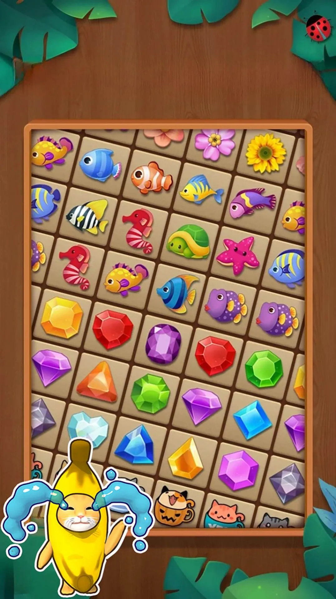 烧脑大舞台2026官方最新版本v1.1 手机版