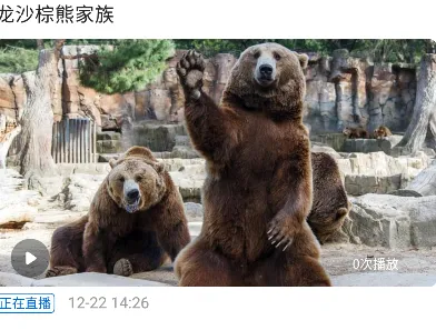 �������Ű�׿���ֻ���