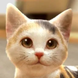 ���ҵ�è�����ֻ���v1.0.0 ��׿��