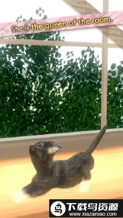 和我的猫最新手机版v1.0.0 安卓版