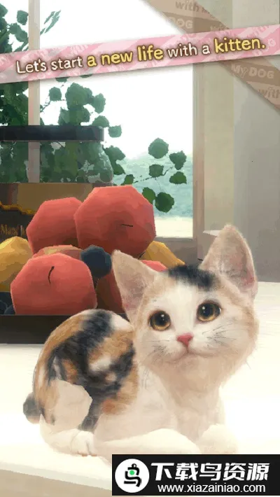 和我的猫最新手机版v1.0.0 安卓版