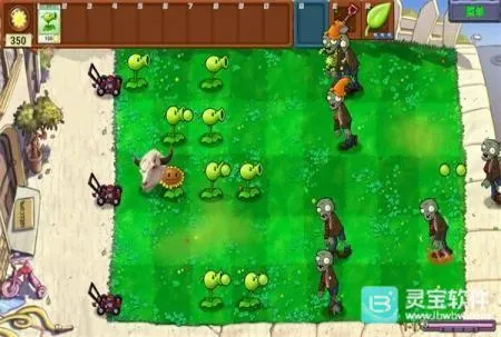 pvzţͷ