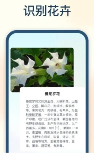 试卷星2026官方最新版本 试卷星2026官方最新版本