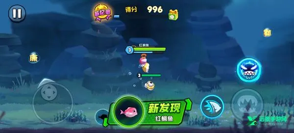 鱼吃鱼下载 鱼吃鱼下载