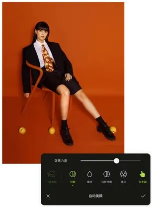 ��ͼvip������