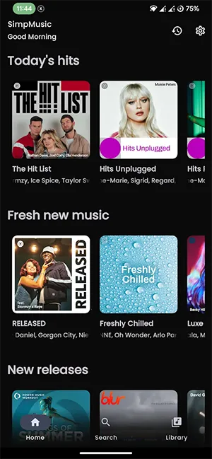 SimpMusicv0.0.5-beta 免费版