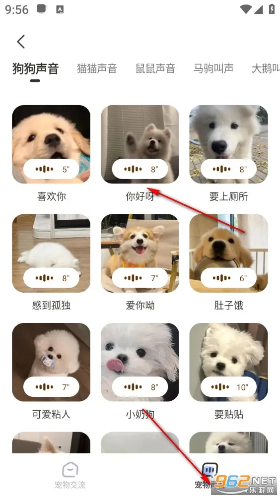 �ȳ跭����2026�ٷ����°汾