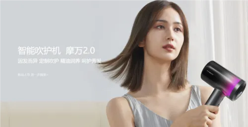 ��������2026���°汾