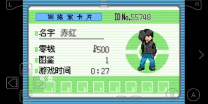 �ڴ�������������