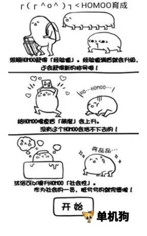 ���������ɼƻ�