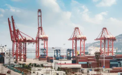 �ҵ����Ƹ�