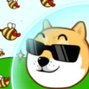 ���������ǰ�׿���ֻ���v1.0.2 ��Ѱ�