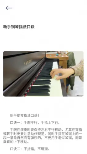 BongoCat2026�ٷ����°汾