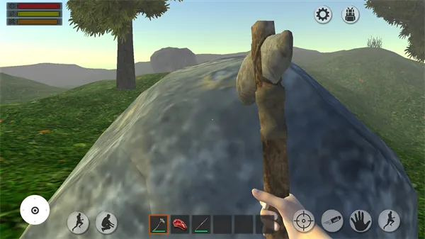 ɭ������2026�ٷ�����