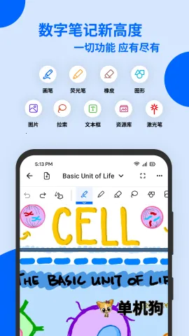 Notewise2026官方最新版本